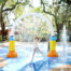 Zoo Tampa
